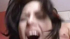 森を通過すると、ひよこはトランクの上を転 ...