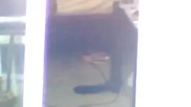 坊主頭でbitch開口に入れのための楽し ...