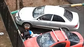 車で大きなテートは猫を食べる 女性 向け ...